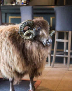 Thyme Sheep Seat - MADE TO ORDER (NOT SOLD OUT!) -Bertioli Sheep2