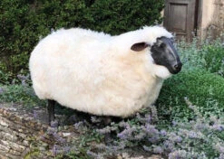 Thyme Sheep Seat - MADE TO ORDER (NOT SOLD OUT!) -Bertioli Sheep4