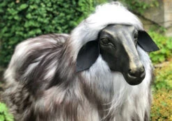 Thyme Sheep Seat - MADE TO ORDER (NOT SOLD OUT!) -Bertioli Sheep9