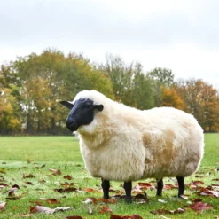 Thyme Sheep Seat - MADE TO ORDER (NOT SOLD OUT!) -Bertioli SheepSeats ClareBingham CREDIT LowRes14 scaled