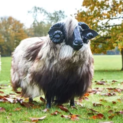 Thyme Sheep Seat - MADE TO ORDER (NOT SOLD OUT!) -Bertioli SheepSeats ClareBingham CREDIT LowRes15 scaled